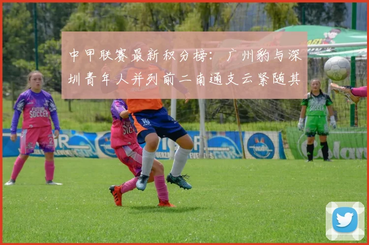中甲联赛最新积分榜：广州豹与深圳青年人并列前二南通支云紧随其后